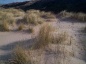 Dunes 1