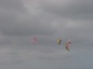 fun and kite 1er edition 23